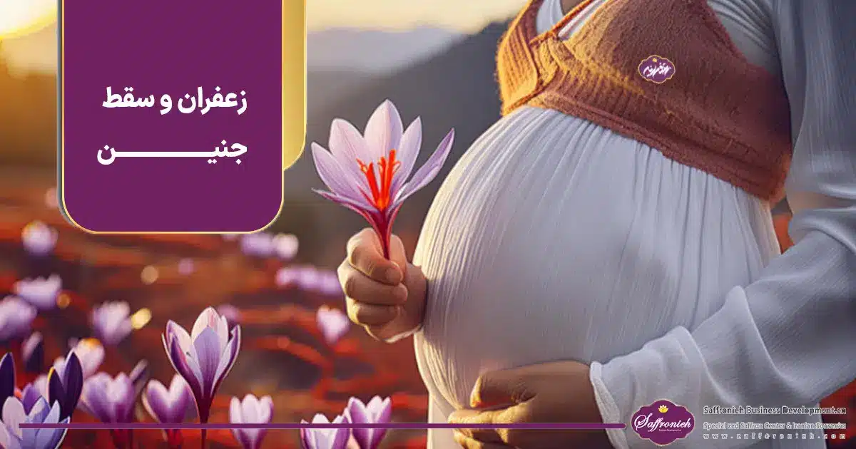 زعفران و سقط جنین زعفران و سقط جنین