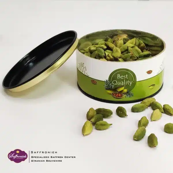 -هل-با-جنس-مقوایی-4