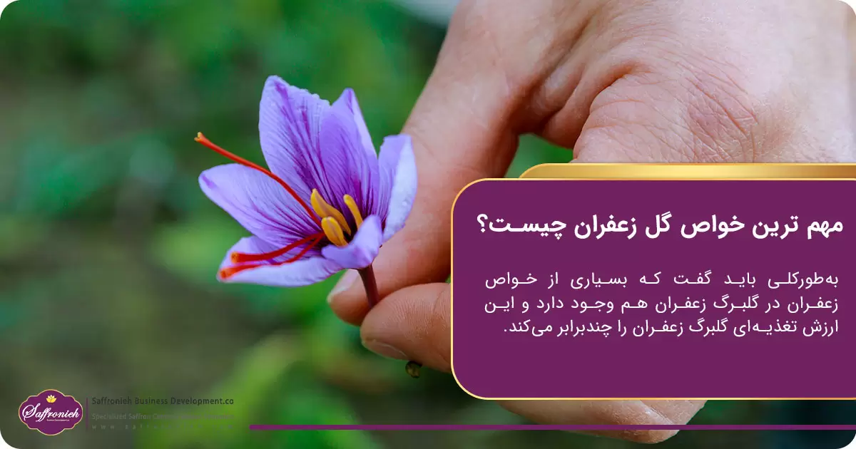 مهم ‌ترین خواص گل زعفران چیست؟