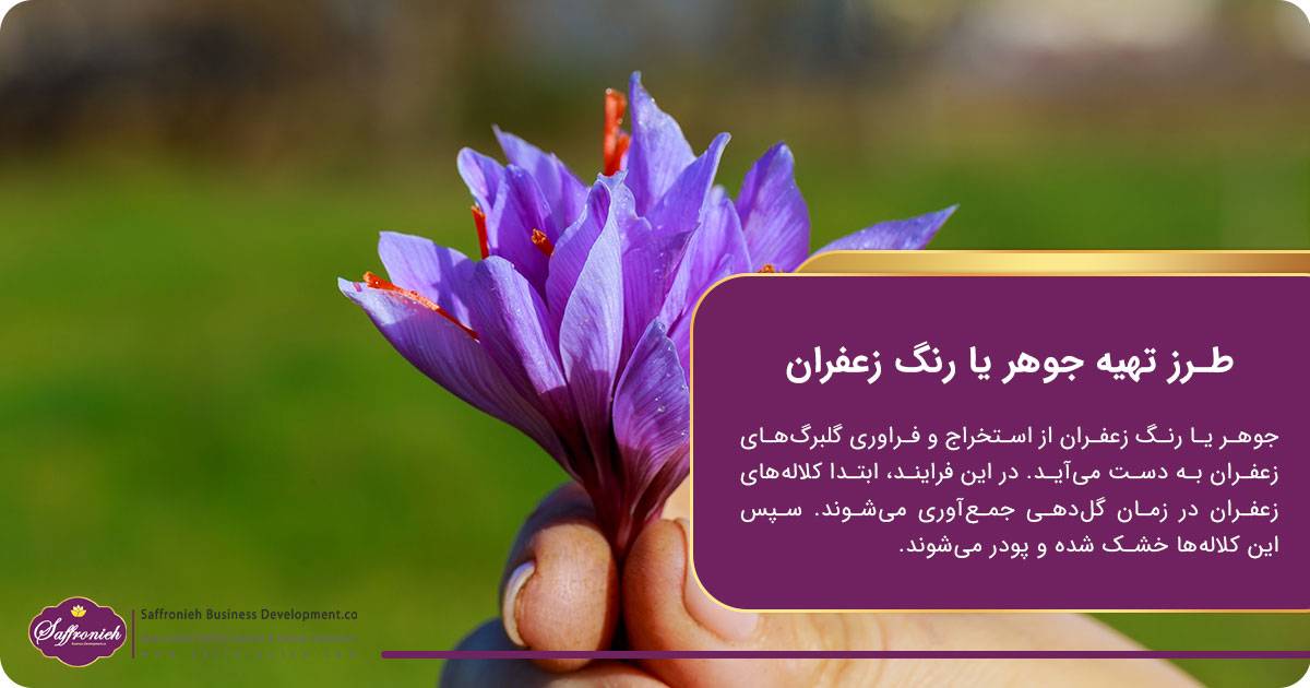 طرز تهیه جوهر یا رنگ زعفران