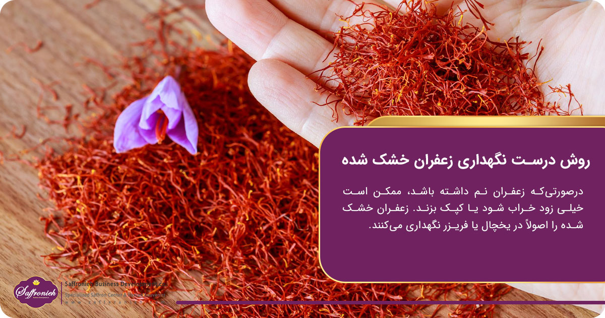 نگهداری زعفران در خانه؛ روش درست نگهداری زعفران خشک شده
