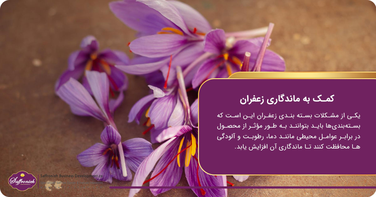 کمک به ماندگاری زعفران