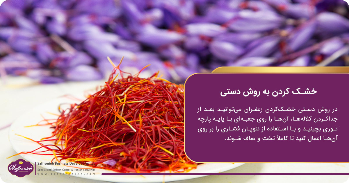 فصل برداشت زعفران + بهترین زمان برداشت 6 https://zafferanieh.com خشک کردن به روش دستی