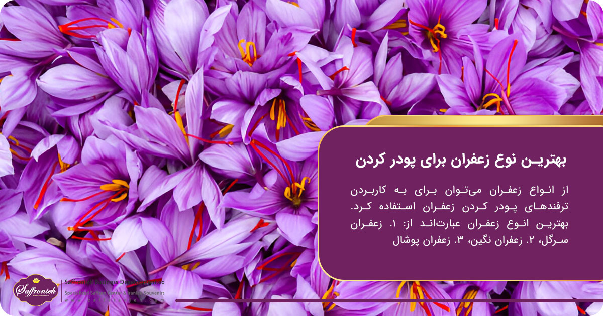 ترفندهای پودر کردن زعفران؛ بهترین نوع زعفران برای پودر کردن