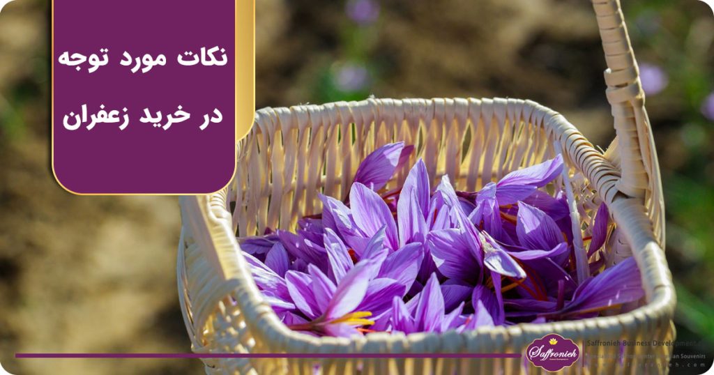 نکات مورد توجه در خرید زعفران | راهنمای خرید زعفران