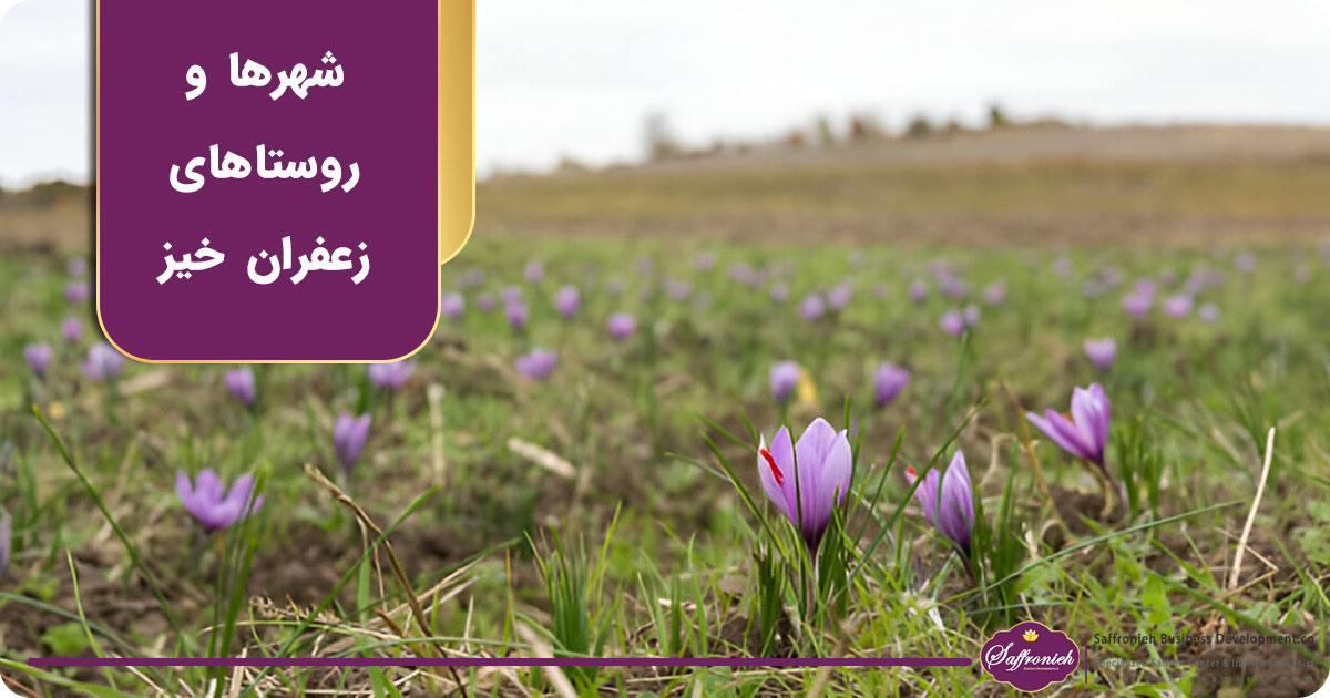 شهرها و روستاهای زعفران خیز