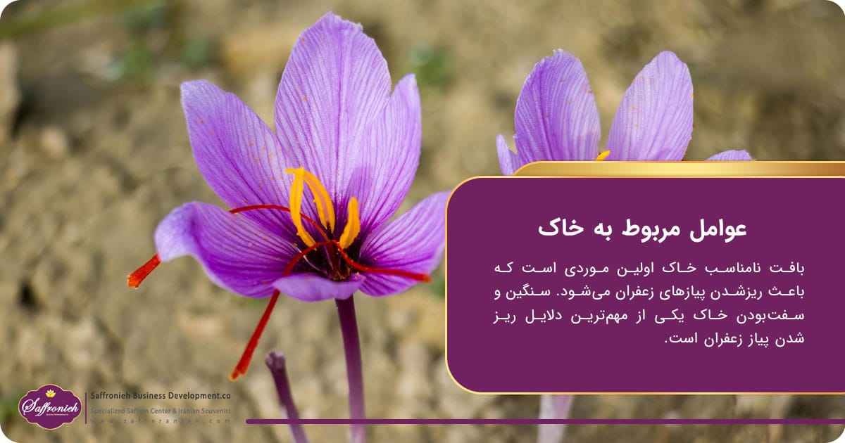 عوامل مربوط به خاک