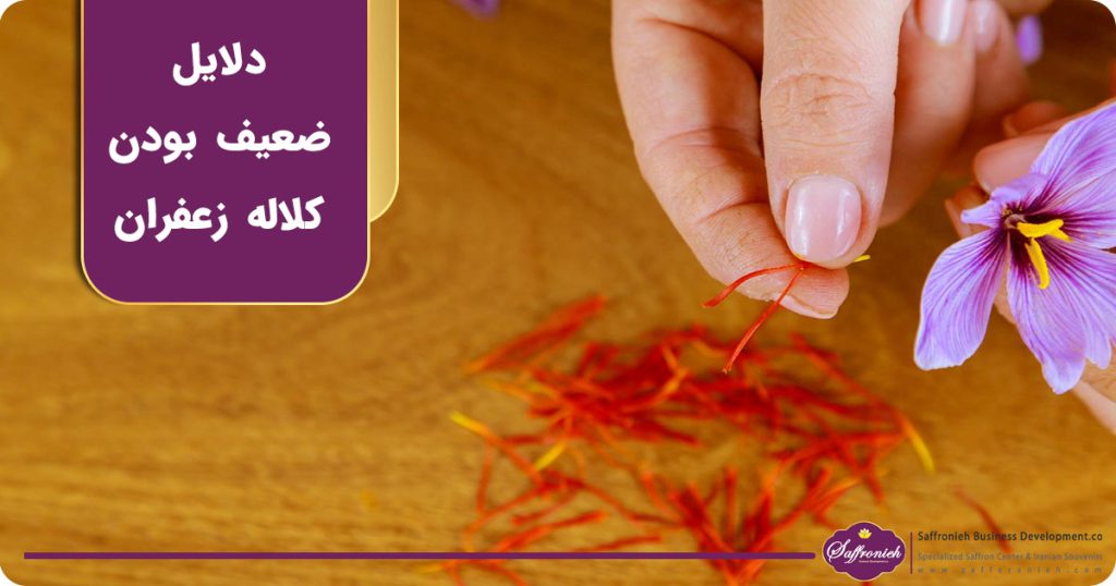 دلایل ضعیف بودن کلاله زعفران
