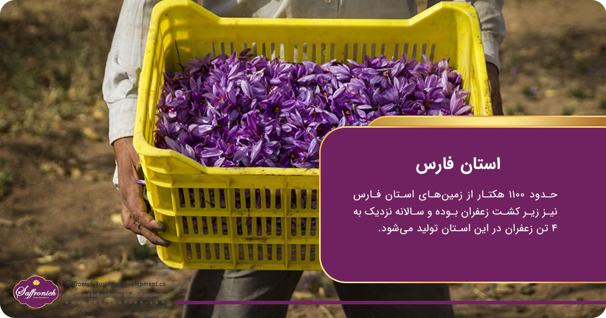 هرآنچه درباره شهرها و روستاهای زعفران خیز ایران باید بدانید! 8 https://zafferanieh.com شهرها و روستاهای زعفران خیز؛ استان فارس