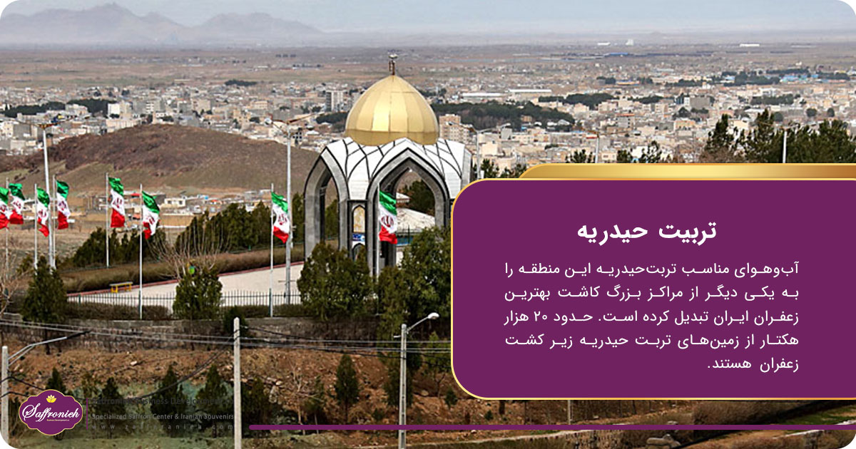هرآنچه درباره شهرها و روستاهای زعفران خیز ایران باید بدانید! 5 https://zafferanieh.com شهرها و روستاهای زعفران خیز؛ تربیت حیدریه