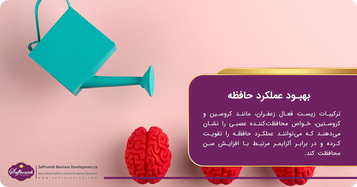 بهبود عملکرد حافظه