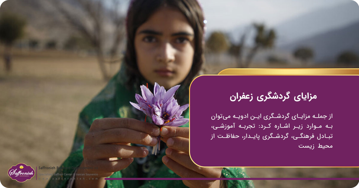 هرآنچه که درباره گردشگری زعفران باید بدانید! 3 https://zafferanieh.com مزایای گردشگری زعفران