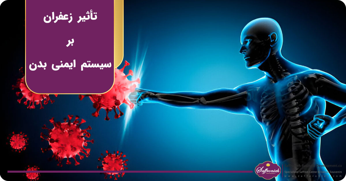 تأثیر مصرف زعفران بر سیستم ایمنی بدن