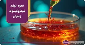 میکروکپسوله سازی زعفران: روشی نوین برای افزایش ماندگاری عطر و طعم