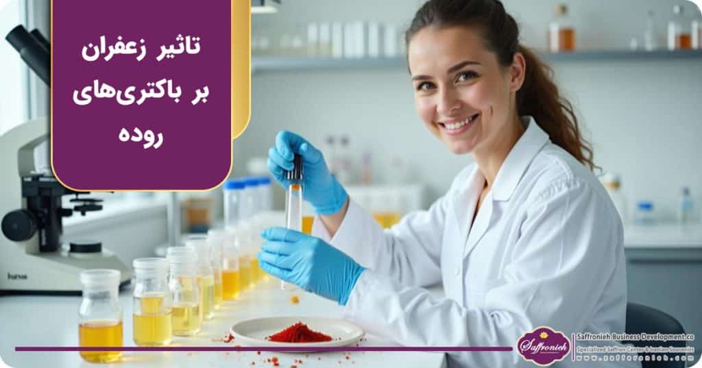 تاثیر زعفران بر باکتری‌های روده و میکروبیوم بدن